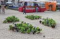 VBS_6704 - FLOREAL Ottobre 2022 - Tre giorni di fiori, piante e bellezza
